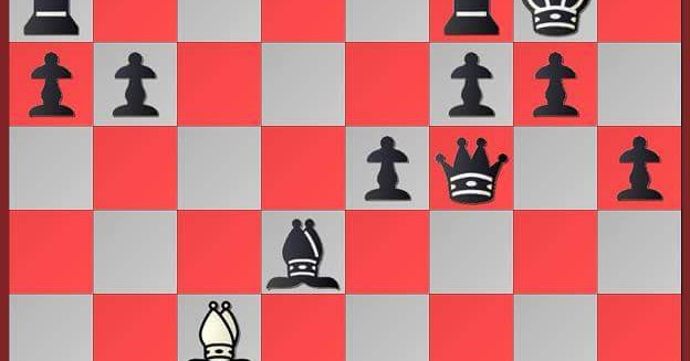 CHESS PARTIES HAVE THE EXACT SAME MOVES