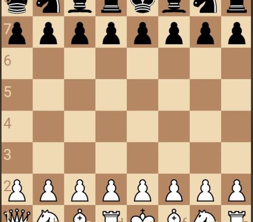 Blog Komputer Catur: FreeStyle Chess: Format Catur Revolusioner